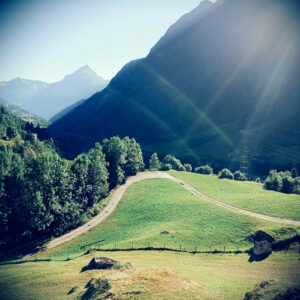 Summer in the Alps