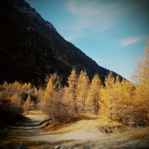 Autumn in the Swiss Alps by Tangi Zahn