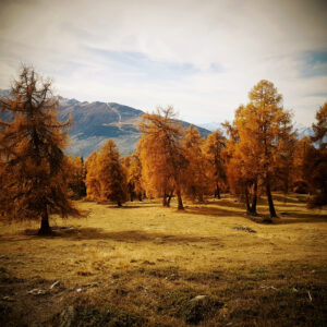 Autumn in the Alps