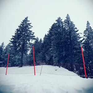orange poles in the snow