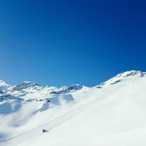 Première piste du matin