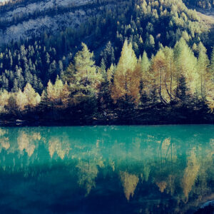 le lac vert